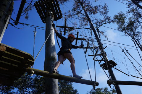 Trees Adventure Nowra Park - Australia Accommodation 0