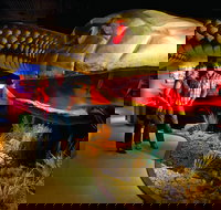 Wadlata Outback Centre - Australia Accommodation