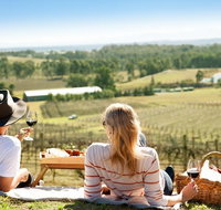 Audrey Wilkinson Vineyard Picnic with Wine Masterclass Tasting - Australia Accommodation