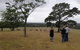 Blue Mountains Day Trip From Sydney With Amazing Lookouts (Private Tour) - thumb 1