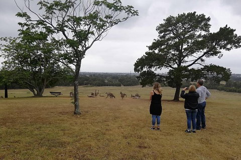Blue Mountains Day Trip From Sydney With Amazing Lookouts (Private Tour) - Australia Accommodation 1