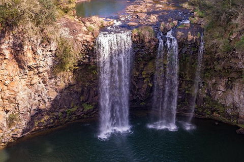 Rainforest & Waterfall Experience - Australia Accommodation 1