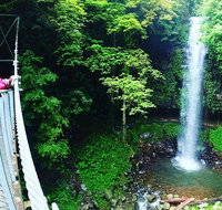 Rainforest  Waterfall Experience - Australia Accommodation