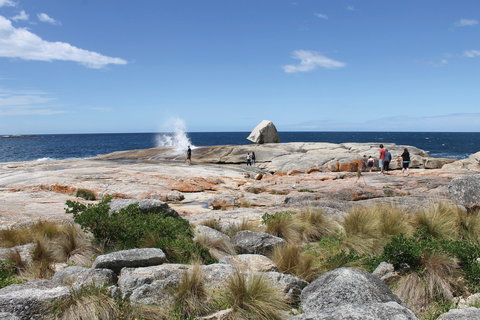 Bicheno Blowhole - Australia Accommodation 1