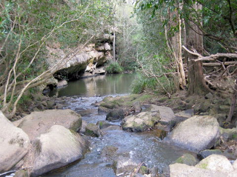 Bomaderry Creek Regional Park - Australia Accommodation 0
