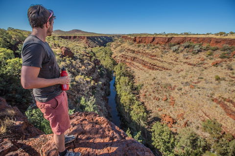 Gorge Rim Walk, Dales Gorge - Australia Accommodation 0