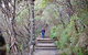 Princes Rock Walking Track - thumb 0