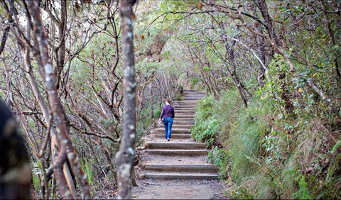 Princes Rock Walking Track - Australia Accommodation 0