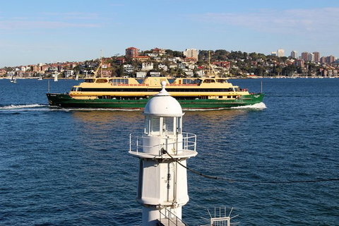 Half Day Manly Beach And More - Australia Accommodation 7