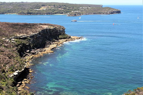 Half Day Manly Beach And More - Australia Accommodation 9