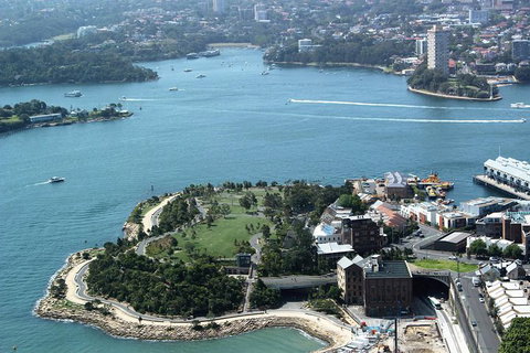 Half Day Manly Beach And More - Australia Accommodation 8