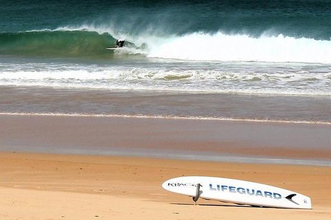 Half Day Manly Beach And More - Australia Accommodation 5