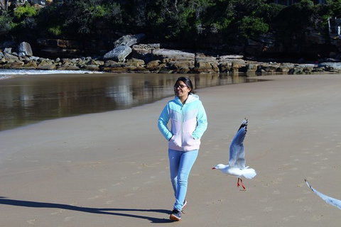 Half Day Manly Beach And More - Australia Accommodation 6