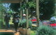 Narooma And Tilba Valley Private Tour - thumb 6