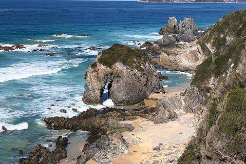 Narooma And Tilba Valley Private Tour - Australia Accommodation 8