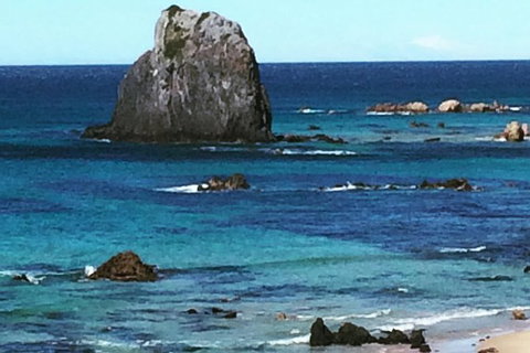 Narooma And Tilba Valley Private Tour - Australia Accommodation 9