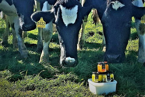 Artisan Cheese Tastings And Sales - Australia Accommodation 11