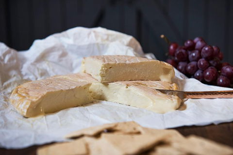 Artisan Cheese Tastings And Sales - Australia Accommodation 8