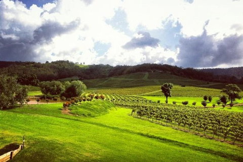 Ivanhoe Wines: Trip Advisor Wine Masterclass With Cheese Plate - Australia Accommodation 3