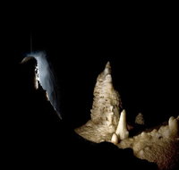 Jenolan Caves Extended Temple of Baal Cave Tour - Australia Accommodation