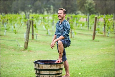 Hunter Valley Grape Stomping - Australia Accommodation 0