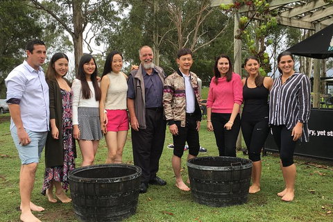 Hunter Valley Grape Stomping - Australia Accommodation 1