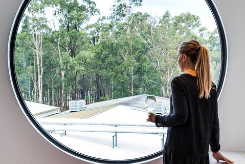 The Brokenwood Journey - Australia Accommodation 4