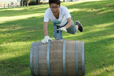 Hunter Valley Wine Barrel Rolling - Australia Accommodation 2