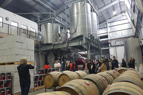 Hunter Valley Small Group Wine, Gin, Cheese & Chocolate Tour - Australia Accommodation 6