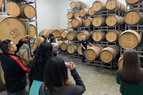Hunter Valley Small Group Wine, Gin, Cheese & Chocolate Tour - Australia Accommodation 8