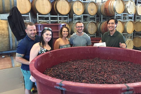 Hunter Valley Small Group Wine, Gin, Cheese & Chocolate Tour - Australia Accommodation 0