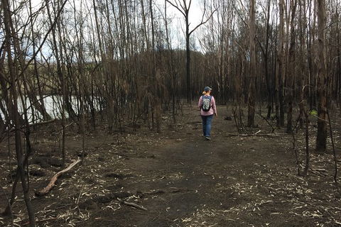 Fishermans Paradise Eco-walk - Australia Accommodation 5