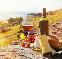 Six hour - plan your own wine and cheese tour Hunter Valley - Australia Accommodation
