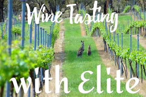 Six Hour - Plan Your Own Wine And Cheese Tour Hunter Valley - Australia Accommodation 7