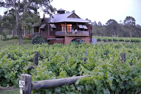 Six Hour - Plan Your Own Wine And Cheese Tour Hunter Valley - Australia Accommodation 11
