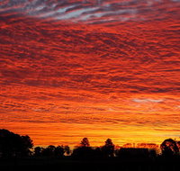 Private Full-Day Wine Tour in Hunter Valley - Australia Accommodation