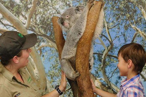 Private Blue Mountains High Country Day Trip From Sydney - Australia Accommodation 5