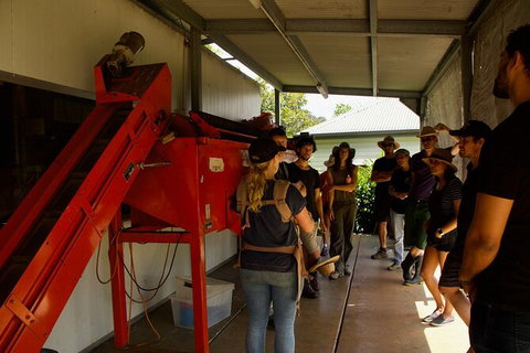 Pecan Farm Tour And Workshop, Byron Bay Hinterland - Australia Accommodation 4