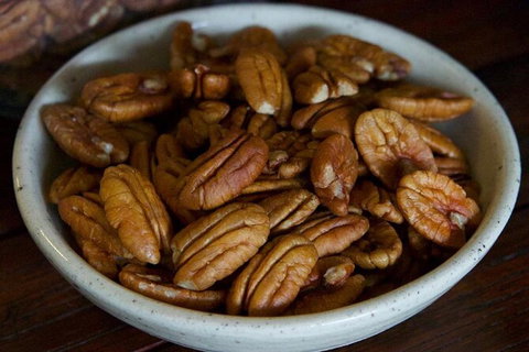 Pecan Farm Tour And Workshop, Byron Bay Hinterland - Australia Accommodation 5
