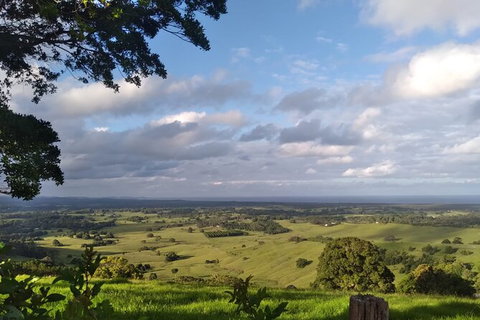 Pecan Farm Tour And Workshop, Byron Bay Hinterland - Australia Accommodation 1