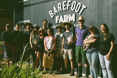 Pecan Farm Tour And Workshop, Byron Bay Hinterland - Australia Accommodation 0