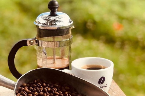 Coffee Farm Tour And Workshop, Byron Bay Hinterland - Australia Accommodation 0