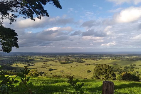 Coffee Farm Tour And Workshop, Byron Bay Hinterland - Australia Accommodation 4