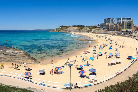 Newcastle Scenic Explorer - 2 Hour Tour By Minibus - Australia Accommodation 16
