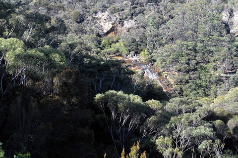 Blue Mountains Highlights & Featherdale Wildlife Park - Australia Accommodation 5