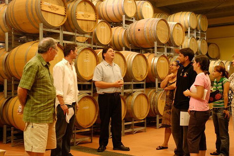 Hunter Valley Small Group Luxury Wine Tasting Tour From Sydney - Australia Accommodation 7
