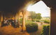 Hunter Valley Small Group Luxury Wine Tasting Tour From Sydney - thumb 5