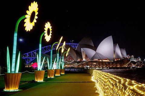 Private Vivid Sydney Harbour Cruise For Up To 20 Guests - Australia Accommodation 6