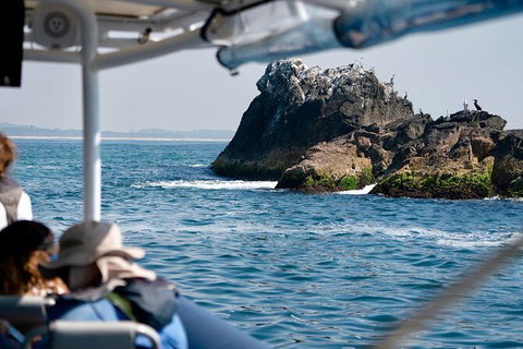 Julian Rocks Byron Bay Cruise - Australia Accommodation 20