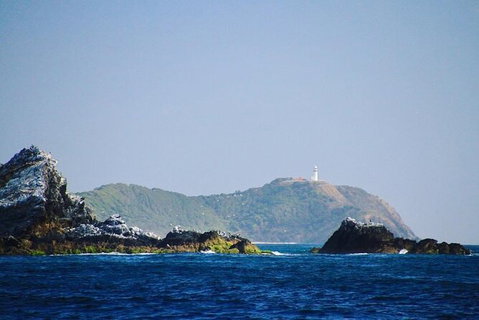 Julian Rocks Byron Bay Cruise - Australia Accommodation 2